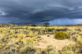 Nathalie_Houdin_FNP_2