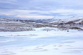 Nathalie_Houdin_FNP_3