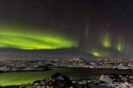 Nathalie_Houdin_FNP_8