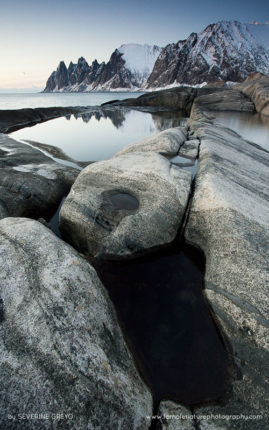 Severine_Greyo_FNP_12