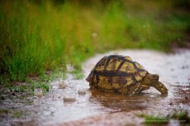 Shannon_Benson_FNP_7