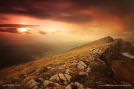 Ambre_de_L'AlPe_FNP_11