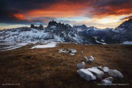 Ambre_de_L'AlPe_FNP_12