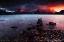 Ambre_de_L'AlPe_FNP_2