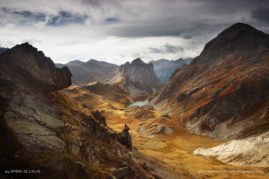 Ambre_de_L'AlPe_FNP_3