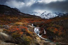 Ambre_de_L'AlPe_FNP_5