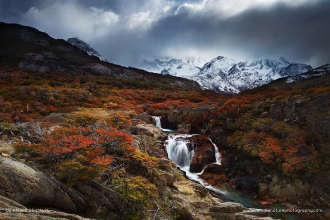 Ambre_de_L'AlPe_FNP_5