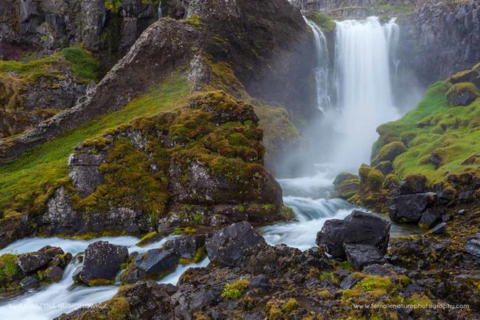 Katarzyna_Gubrynowicz_FNP_1