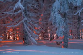 Katarzyna_Gubrynowicz_FNP_12