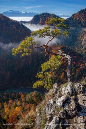 Katarzyna_Gubrynowicz_FNP_15