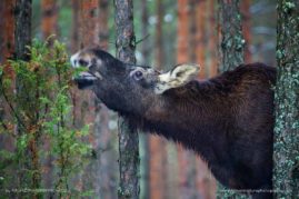 Katarzyna_Gubrynowicz_FNP_3