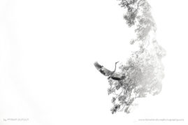 Myriam_Dupouy_FNP_12