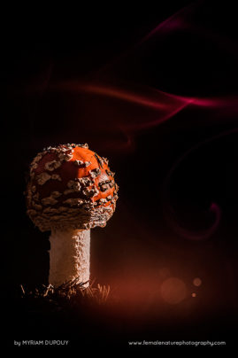 Myriam_Dupouy_FNP_15