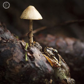 Portfolio carousel 47