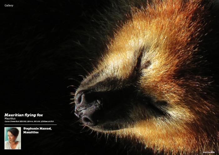 Gallery27-StephanieManuel