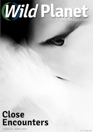 Wild Planet Photo Magazine April 2017 cover