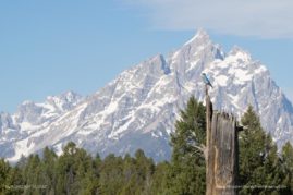 Ashleigh-Scully-FNP-3