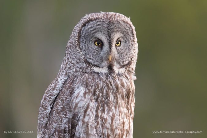 Ashleigh-Scully-FNP-4