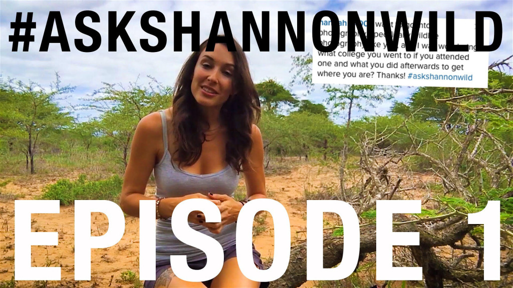 Ask shannon