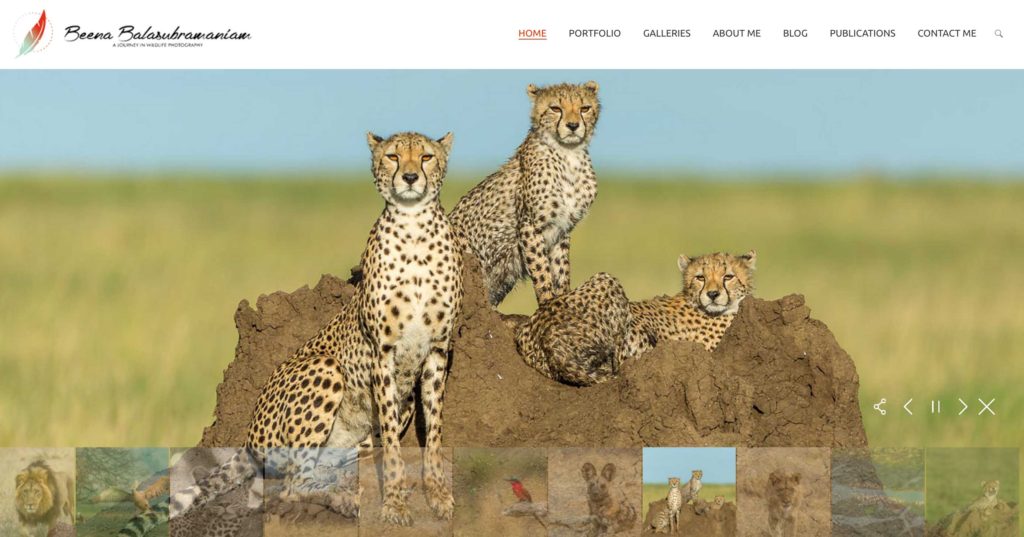 Been Balasubramaniam website jpg