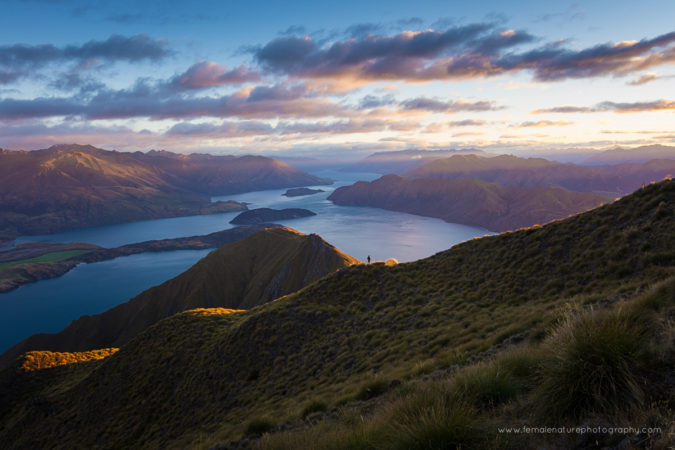 Just How I Want to Start the Day