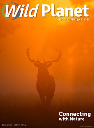 Cover-June-WPM-web-329x450