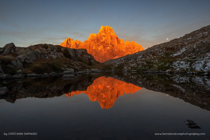 Cristiana-Damianof-FNP-13