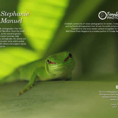 FNPOTM Stephanie Manuel Photography