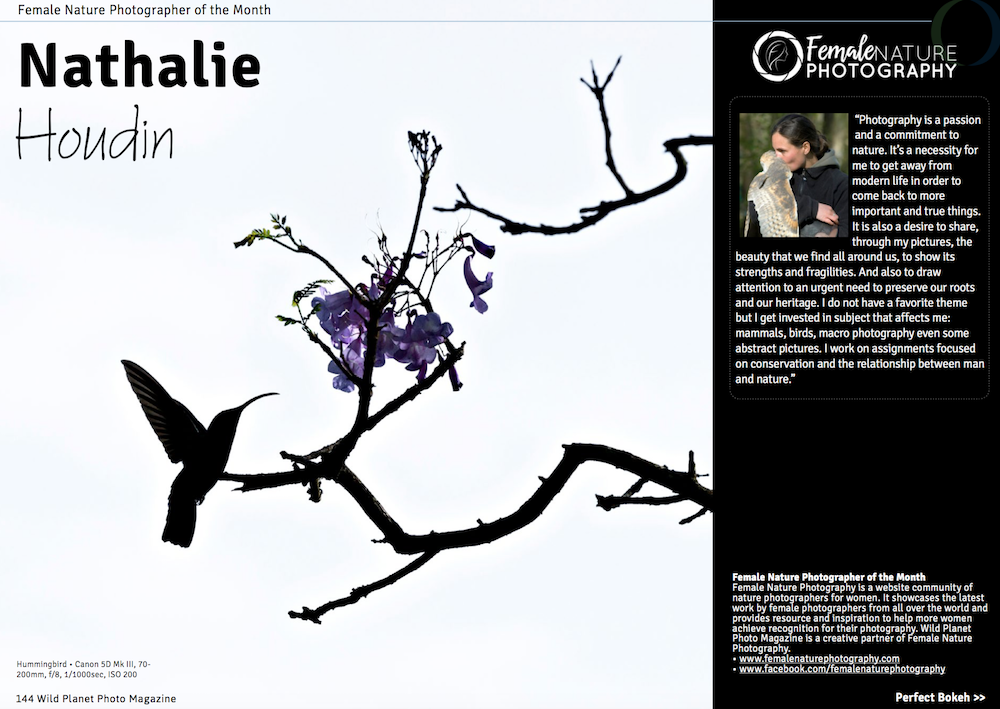 FNPOTM August Nathalie Houdin IG