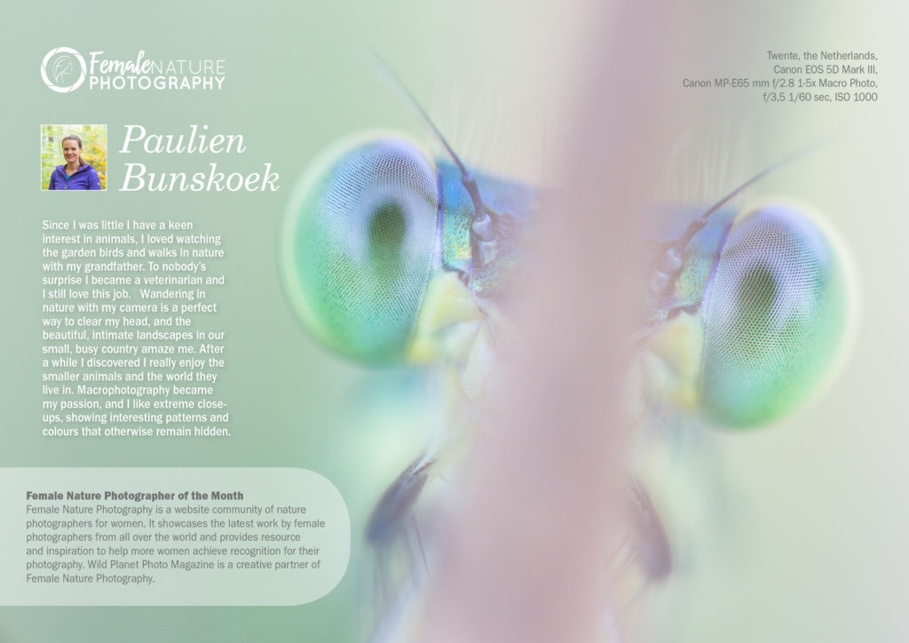 Female Nature Photographer of the Month - December 2018 - Paulien Bunskoek
