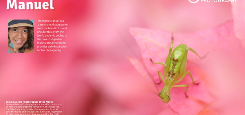 Female nature photographer of the month January 2017 Stephanie Manuel