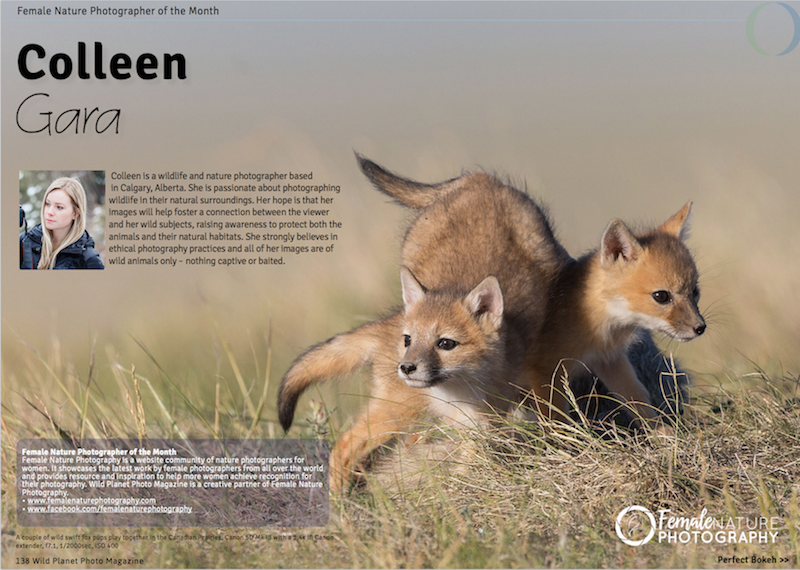 Female nature photographer of the monthJune 2017 Colleen Gara