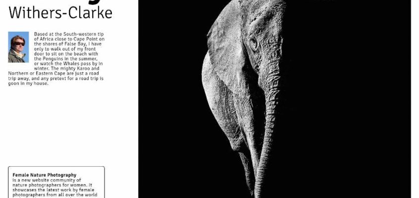 FNPOTM - May issue 31