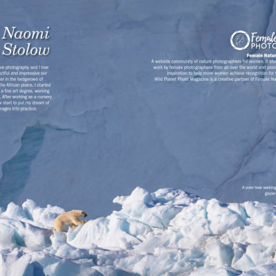Female Nature Photographer of the month of April in Wild Planet Photo Magazine
