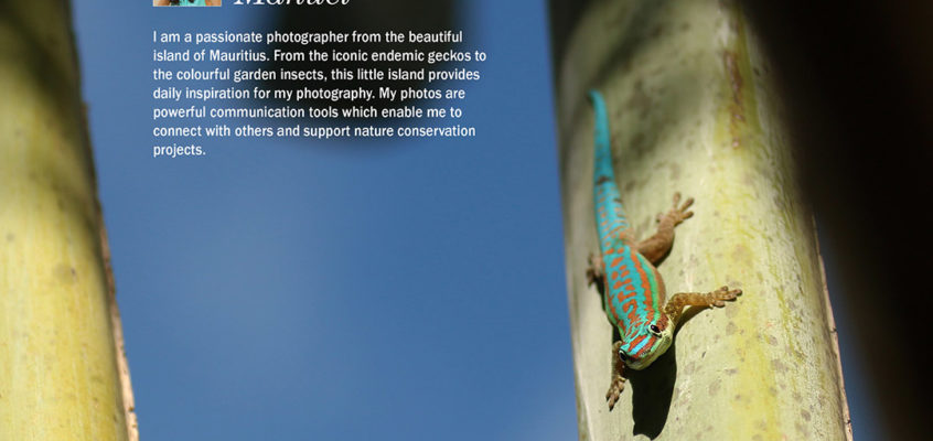 Female Nature Photographer of the Month - August 2018 - Stephanie Manuel