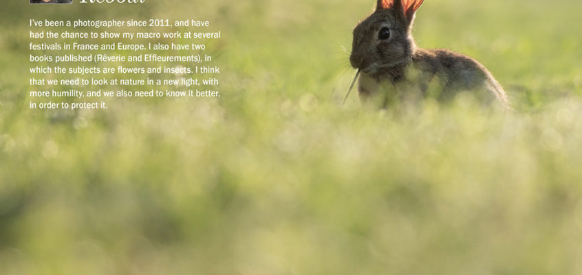 FNPOTM_July- Carole Reboul