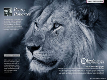 Female Nature Photography June 2019