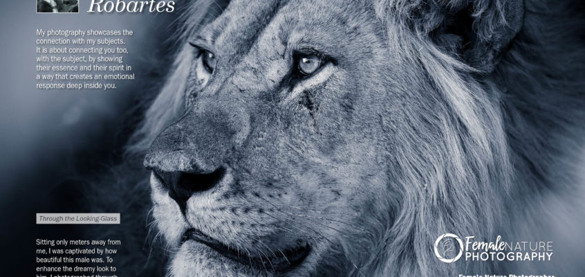 Female Nature Photography June 2019