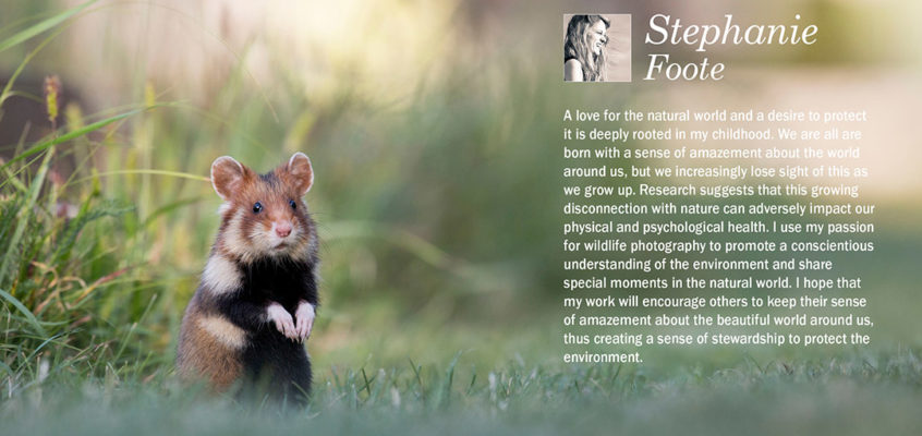 FNPOTM_June - Stephanie Foote