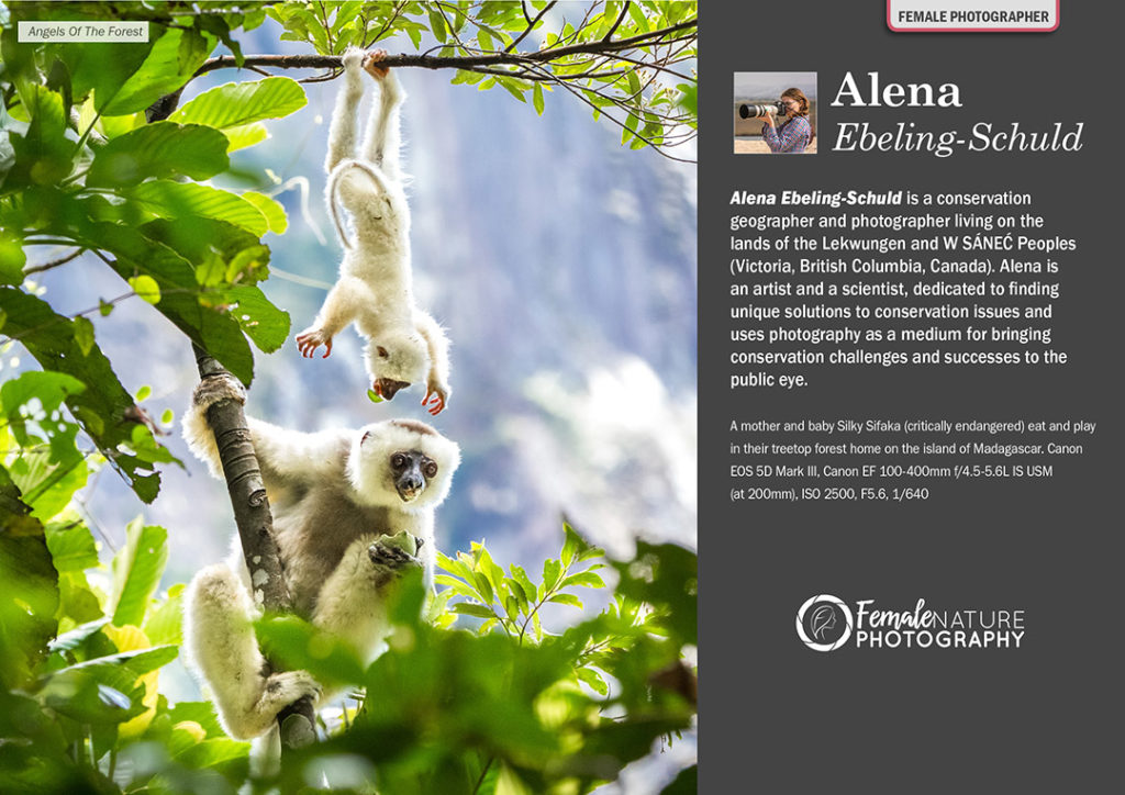 Female Nature Photographer of the Month - March 2018 - Alena Ebeling-Schuld