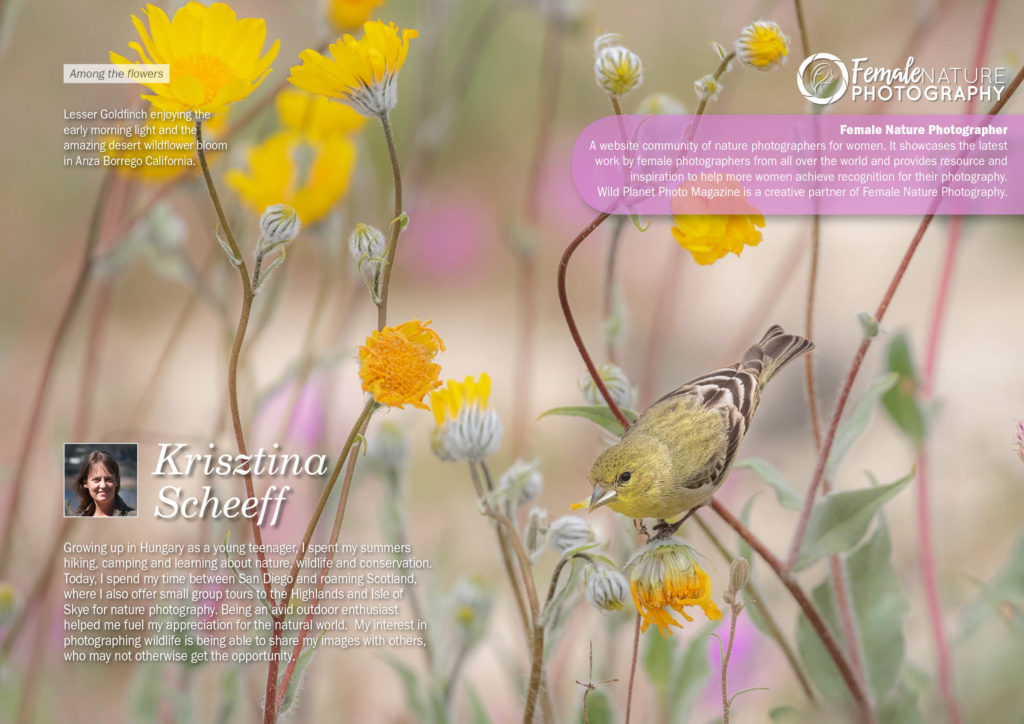 Female Nature Photography May 2019