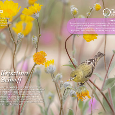 Female Nature Photography May 2019