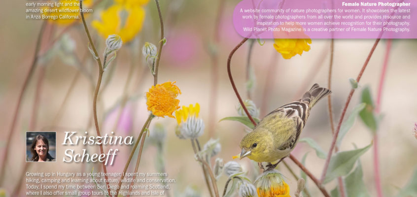 Female Nature Photography May 2019