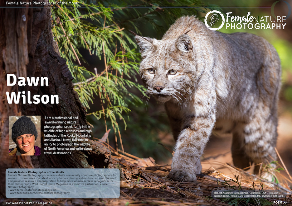 Female Nature Photographer of the Month - Dawn Wilson