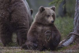 Kaisa-Lappalainen-FNP-6