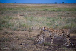 Kerry-de-Bruyn-FNP-8