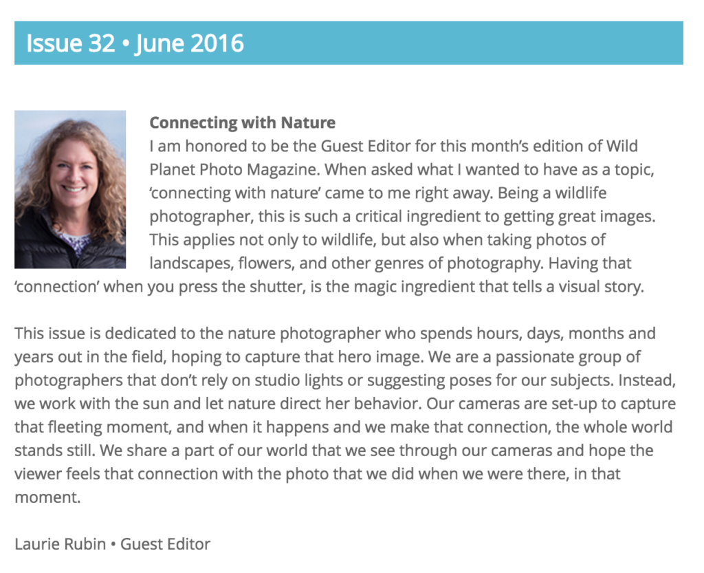 Laurie Rubin - Guest Editor