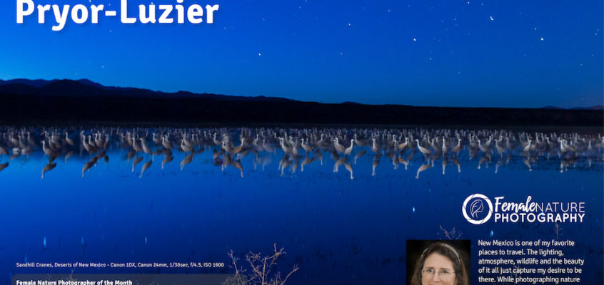 maresa-fnpotm-nov-2016