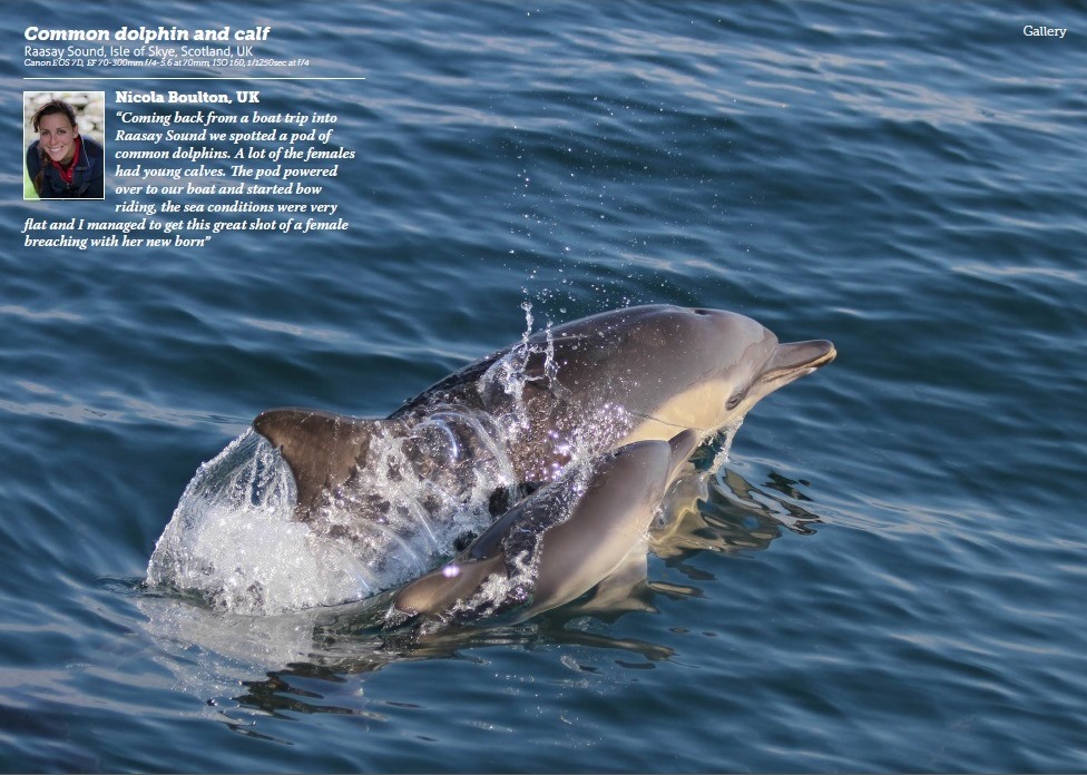 Nicola Boulton published