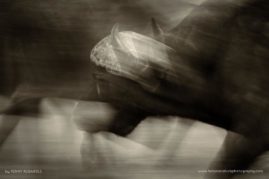 Penny-Robartes-FNP-10